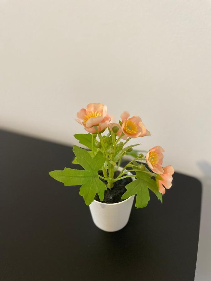 Mr Ferienwohnung - Wohnung Emma Schellerten Kültér fotó